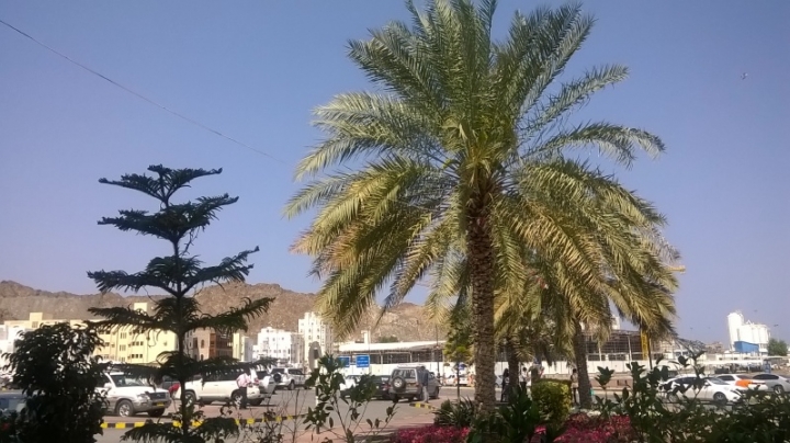 SDN2016_Dubai (111)