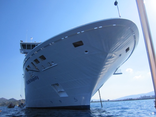 schiff_(3)